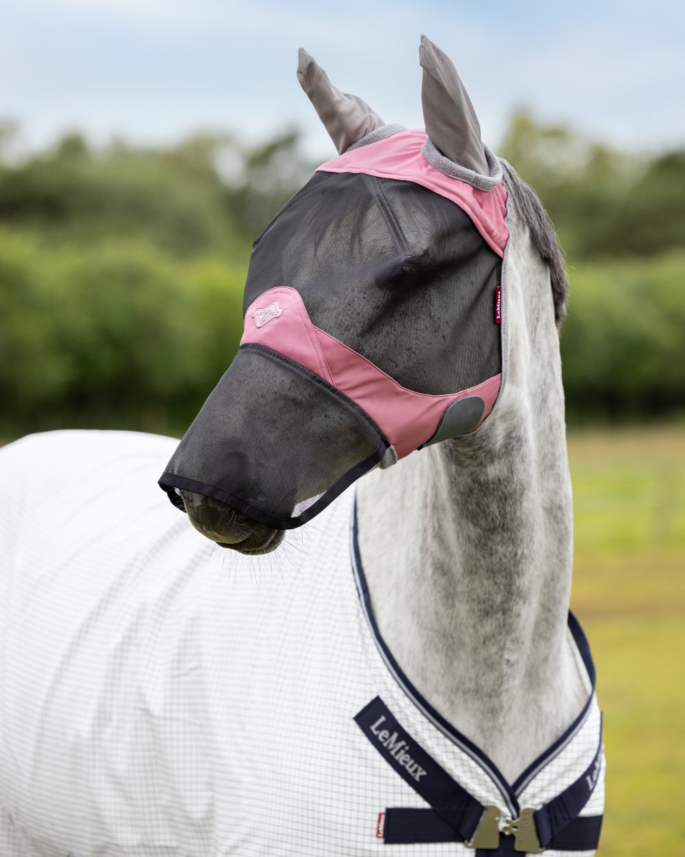 Peony coloured LeMieux Visor Tek Full Fly Mask on blurry background