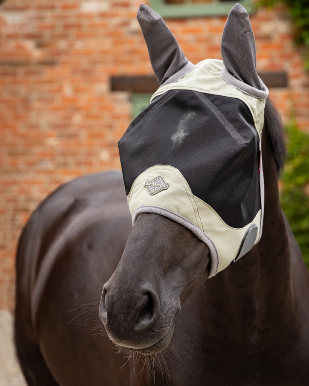 Fern coloured LeMieux Visor-Tek Half Fly Mask on outdoor background