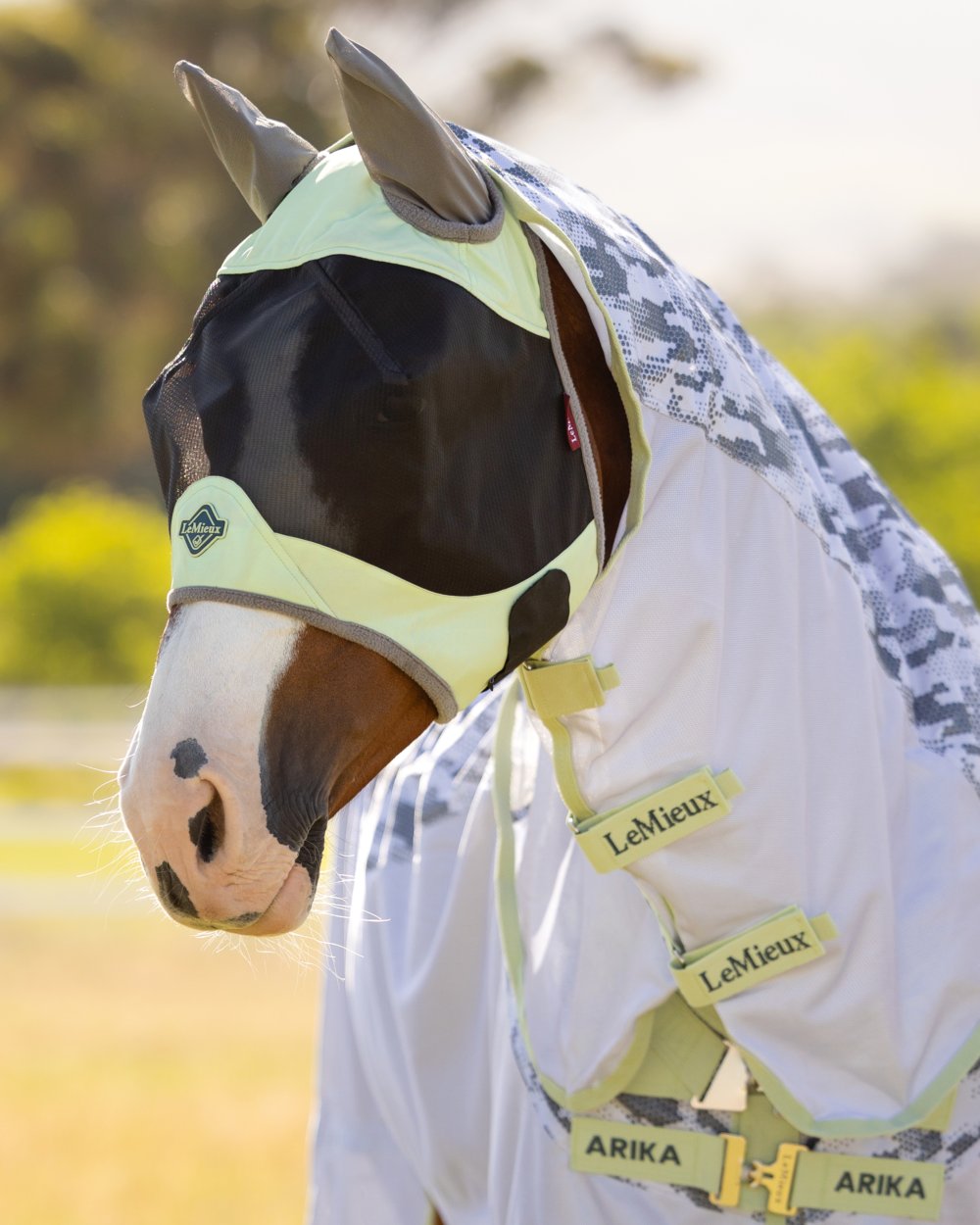 Macaron coloured LeMieux Visor-Tek Half Fly Mask on outdoor background