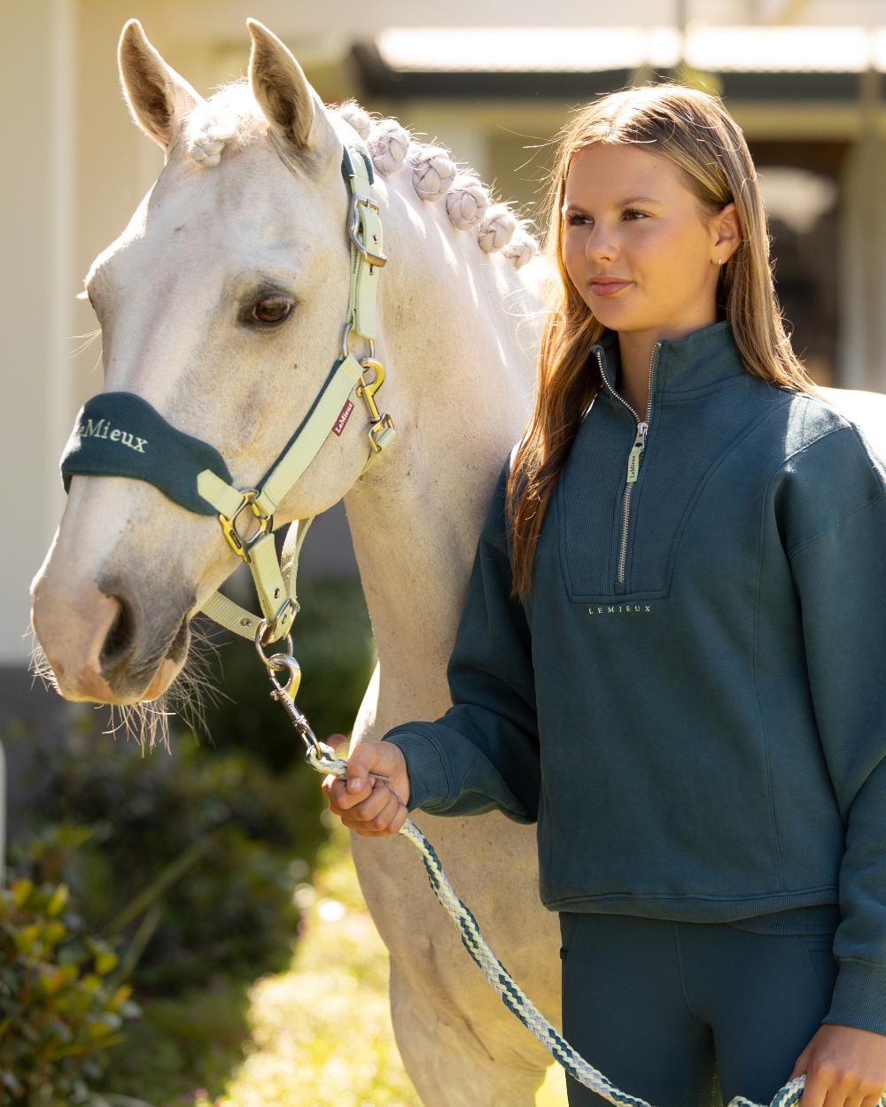 Macaron coloured LeMieux Vogue Headcollar & Leadrope on outdoor background