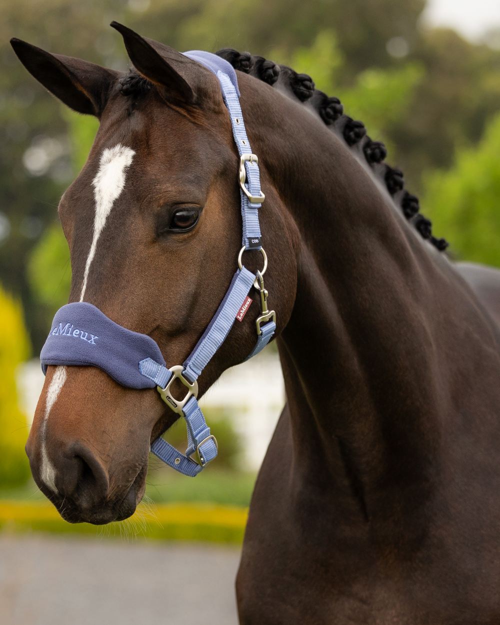 Powder Blue coloured LeMieux Vogue Headcollar & Leadrope on outdoor background