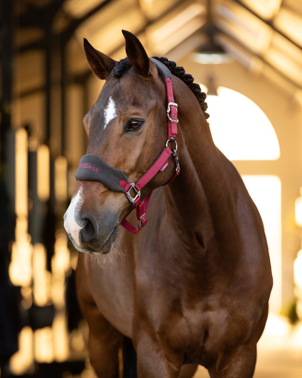 Ember coloured LeMieux Vogue Headcollar & Leadrope on stable background