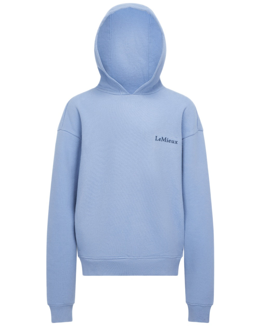 Powder Blue coloured LeMieux Young Rider Sia Hoodie on white background