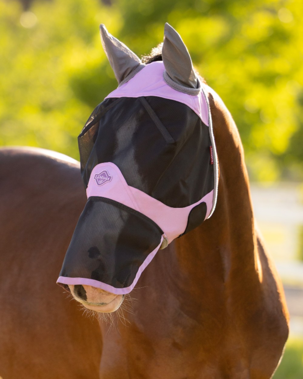 Fondant coloured LeMieux Visor Tek Full Fly Mask on outdoor background
