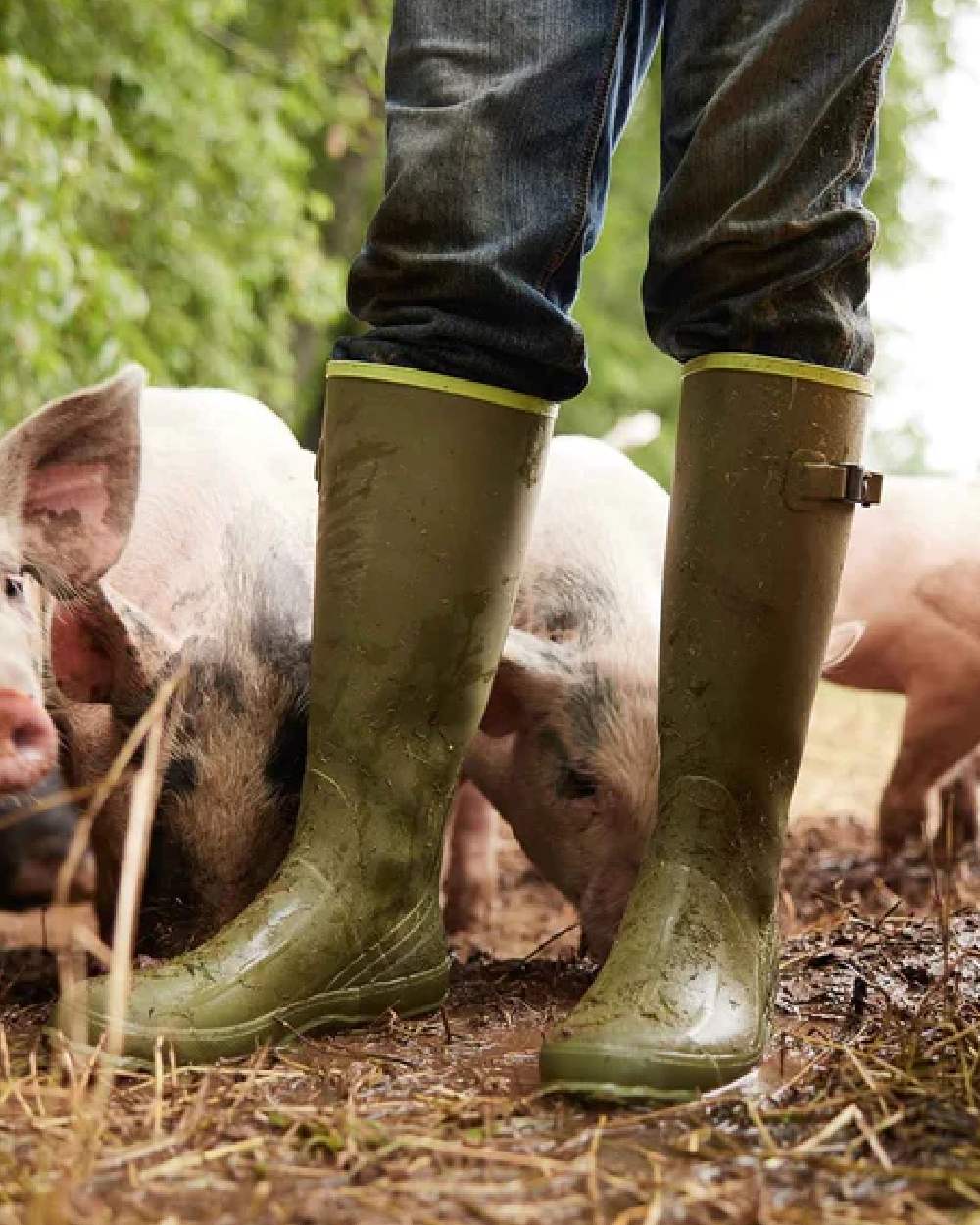 Olive Lime Green Coloured Muck Boots Harvester Tall Boots on countryside background