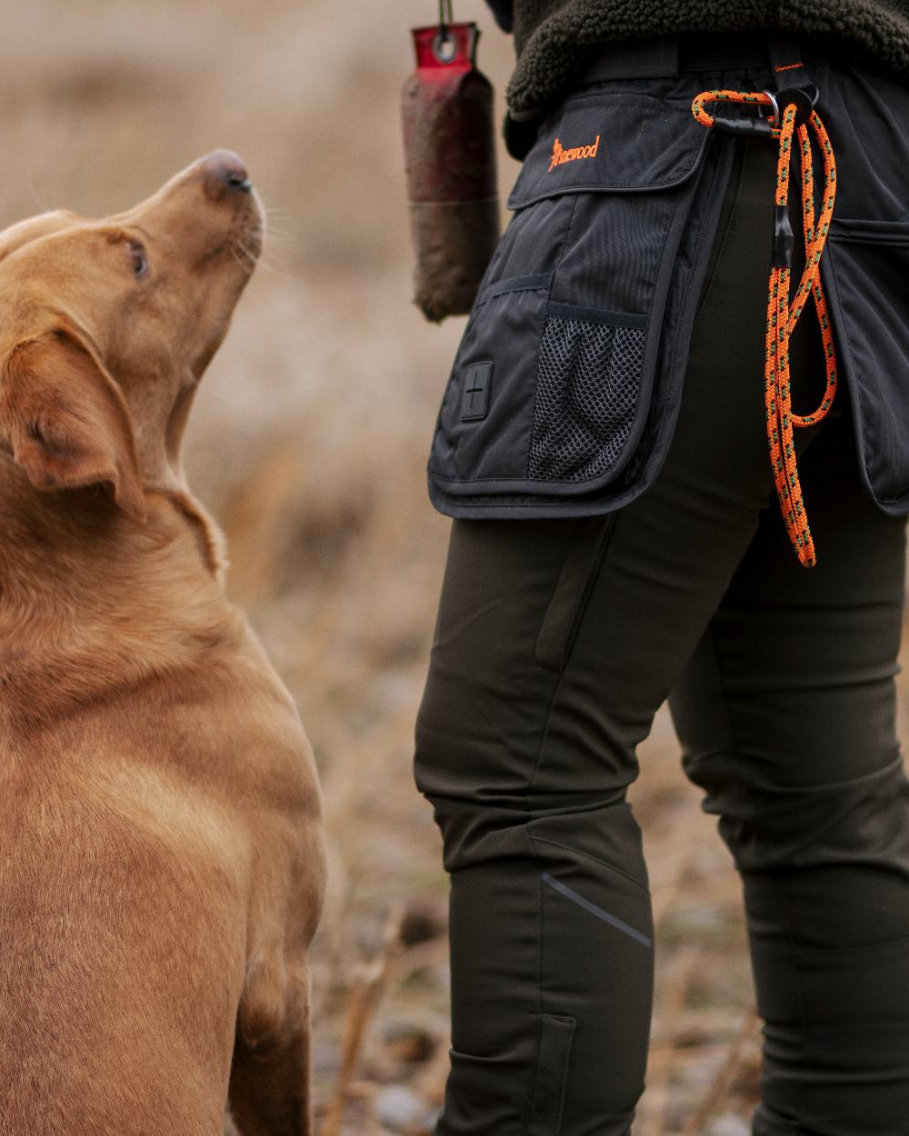 Black Dark Anthracite Coloured Pinewood Dog Sports Utility Belt on forest background
