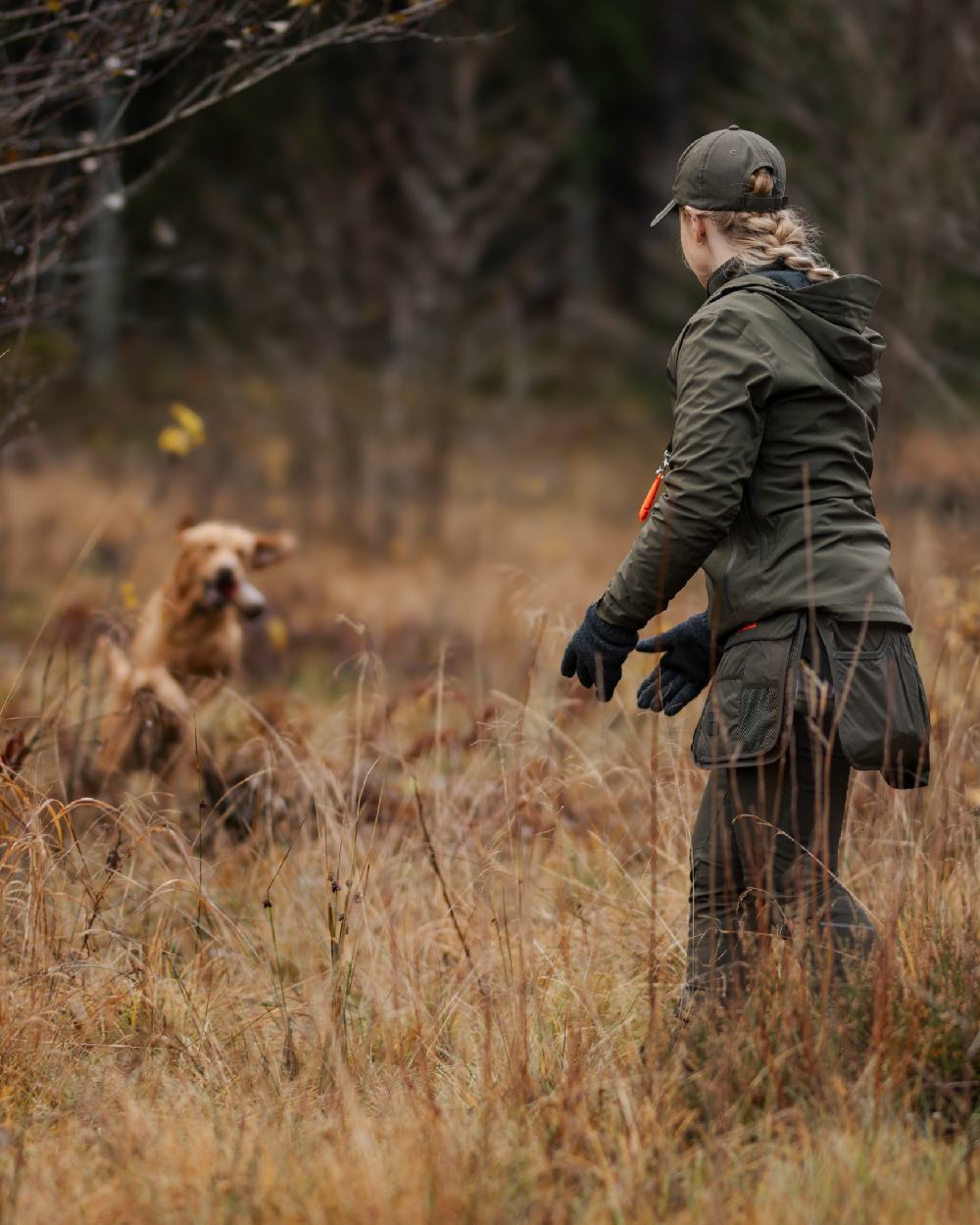 Mossgreen Black Coloured Pinewood Dog Sports Utility Belt on forest background