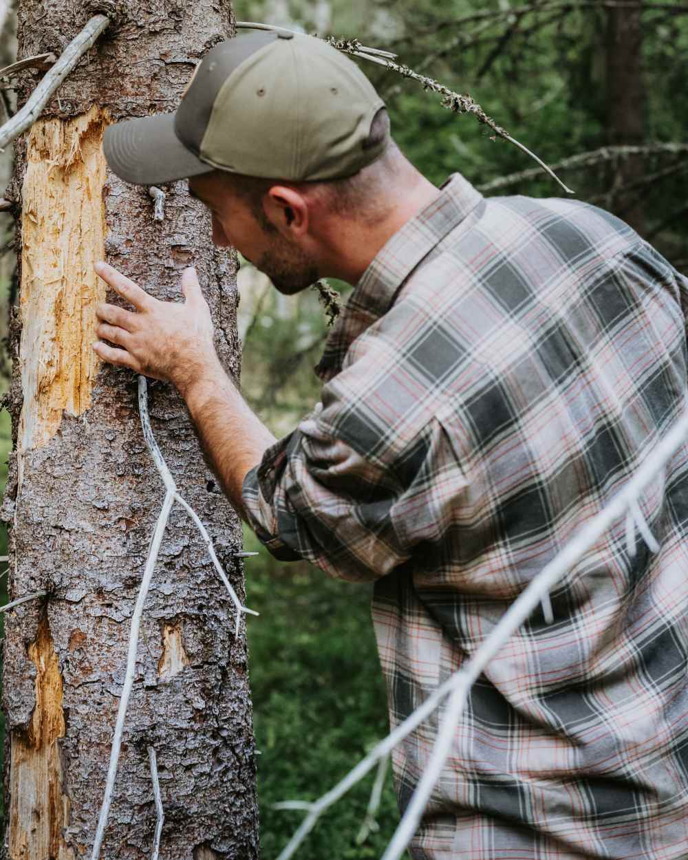 Olive Dark Green coloured Pinewood Mens Finnveden Forest Flannel Shirt on forest background