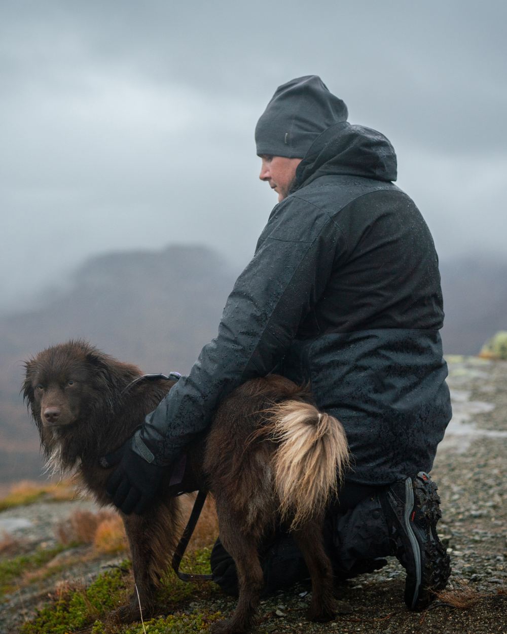 Black Dark Anthracite Coloured Pinewood Mens Finnveden Hybrid Extreme Jacket on forest background