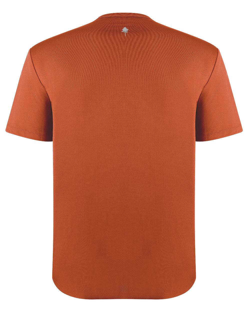 Burned Orange coloured Pinewood Mens Function T-Shirt on white background