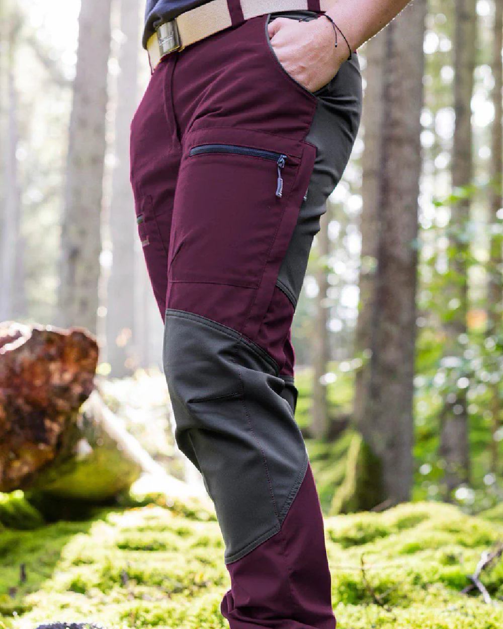 Plum Dark Anthracite coloured Pinewood Womens Caribou TC Trousers on forest background