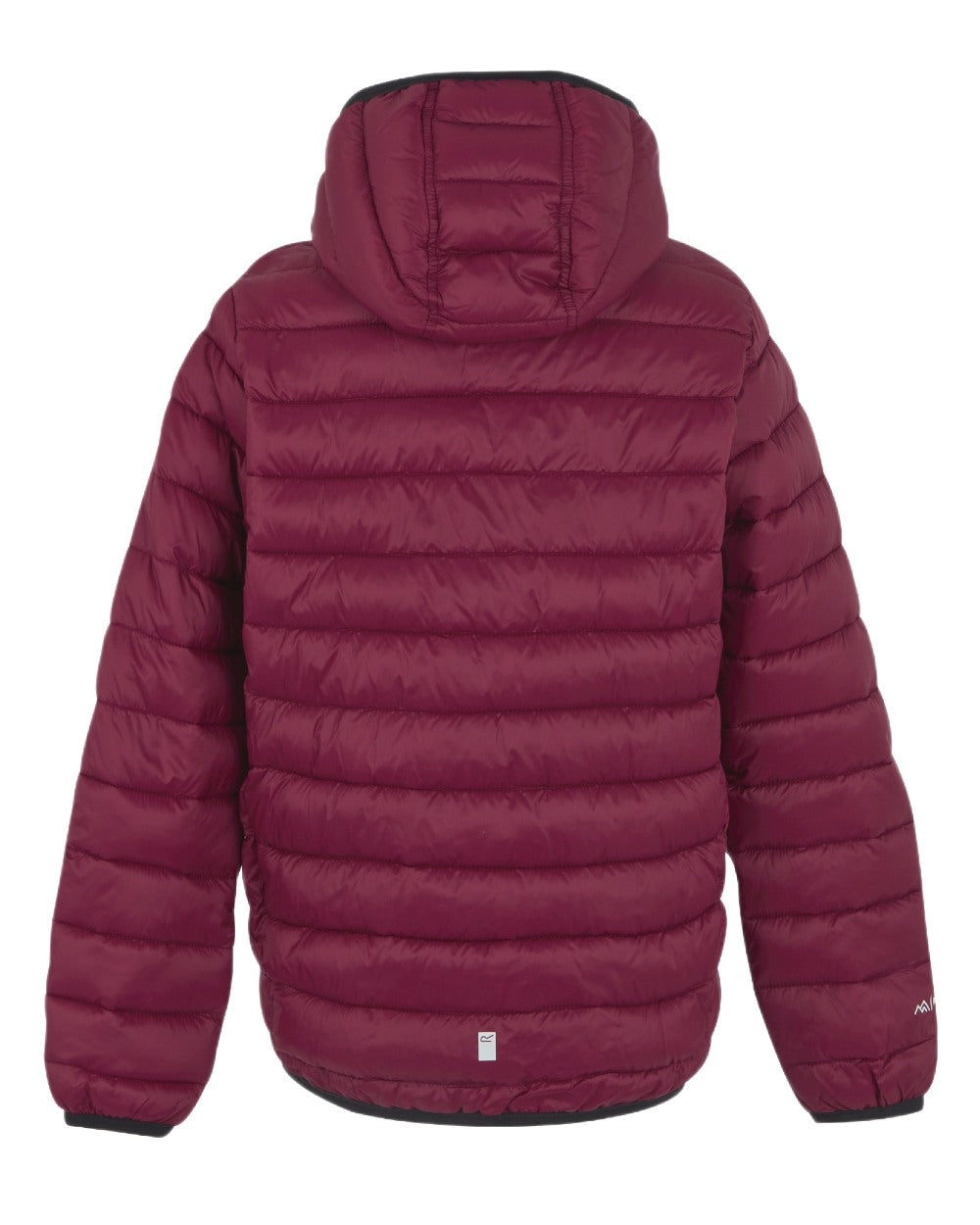 Dark Pimento Coloured Regatta Childrens Hooded Marizion Padded Jacket on white background
