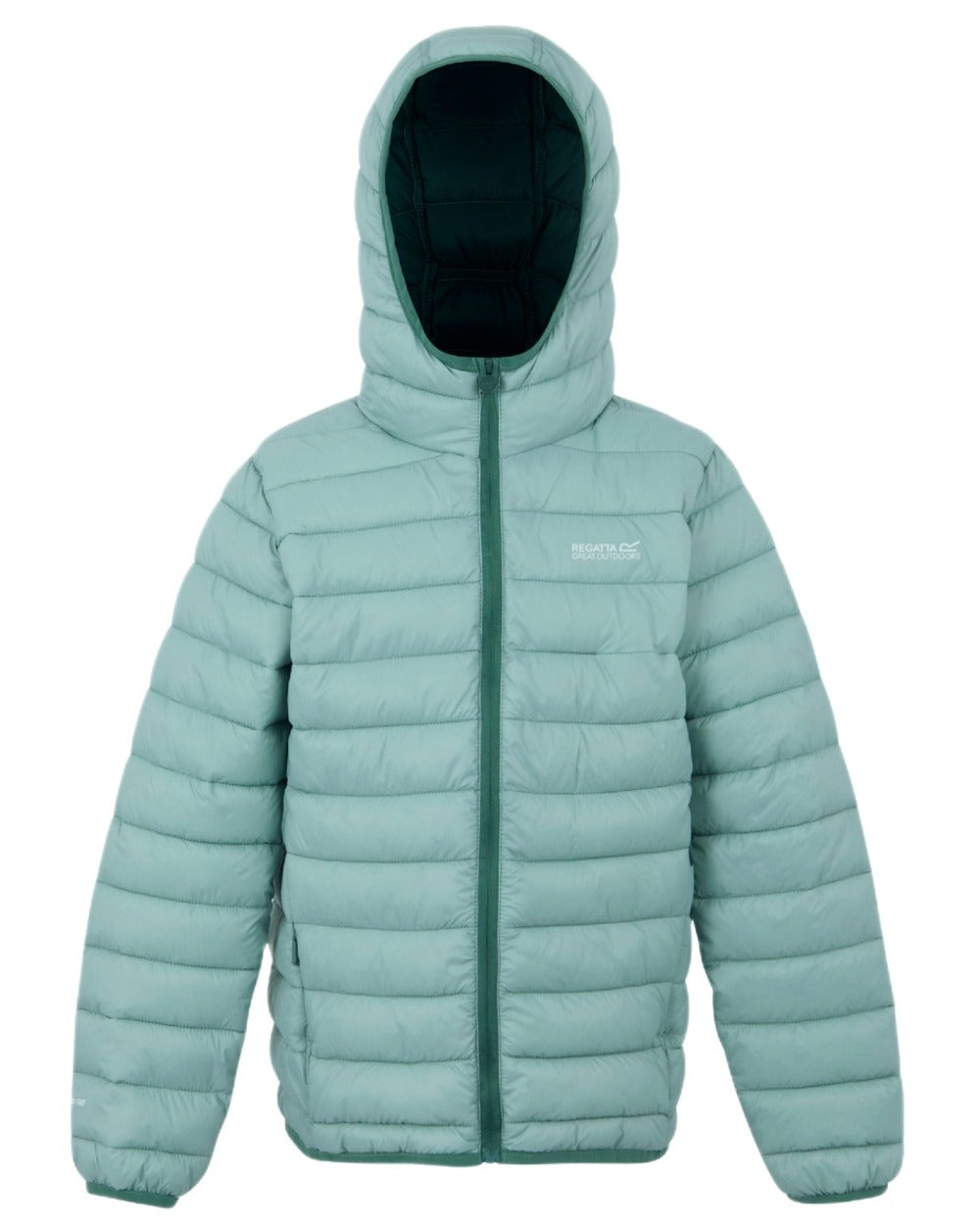 Green Haze Spruce Green Coloured Regatta Childrens Hooded Marizion Padded Jacket on white background