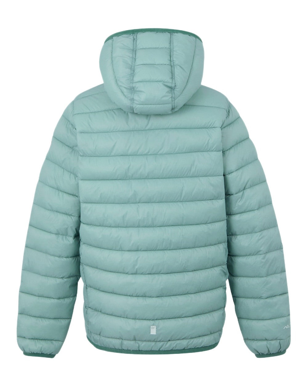 Green Haze Spruce Green Coloured Regatta Childrens Hooded Marizion Padded Jacket on white background