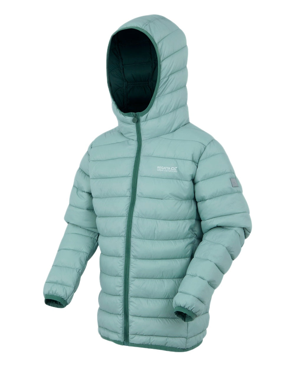 Green Haze Spruce Green Coloured Regatta Childrens Hooded Marizion Padded Jacket on white background