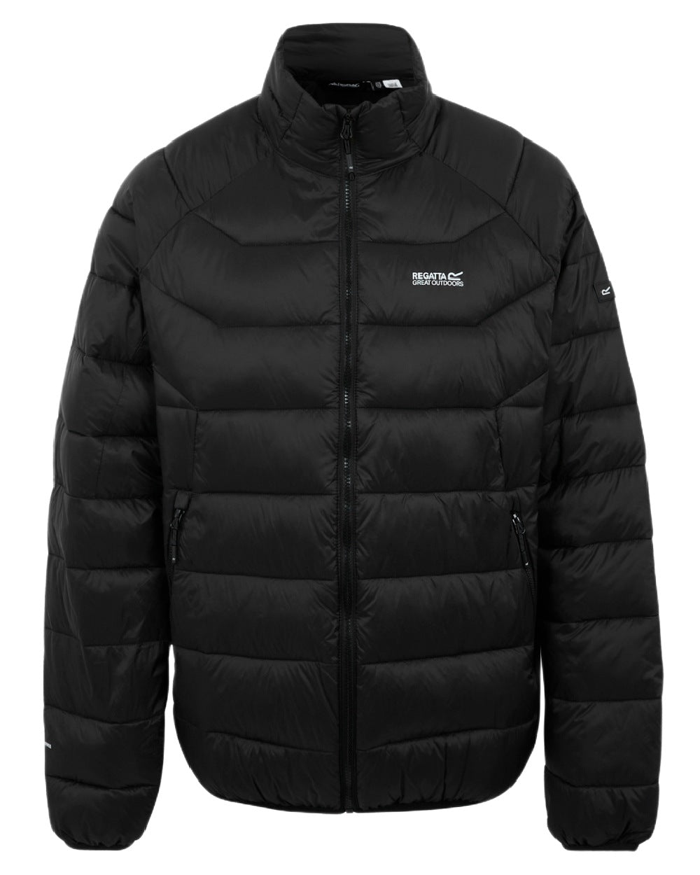 Black Coloured Regatta Mens Dalent Padded Jacket on white background