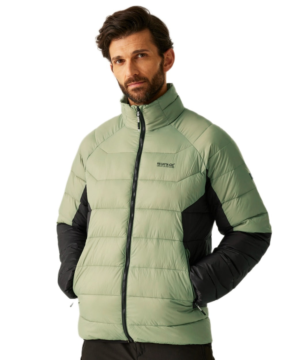 Oil Green Black Coloured Regatta Mens Dalent Padded Jacket on white background
