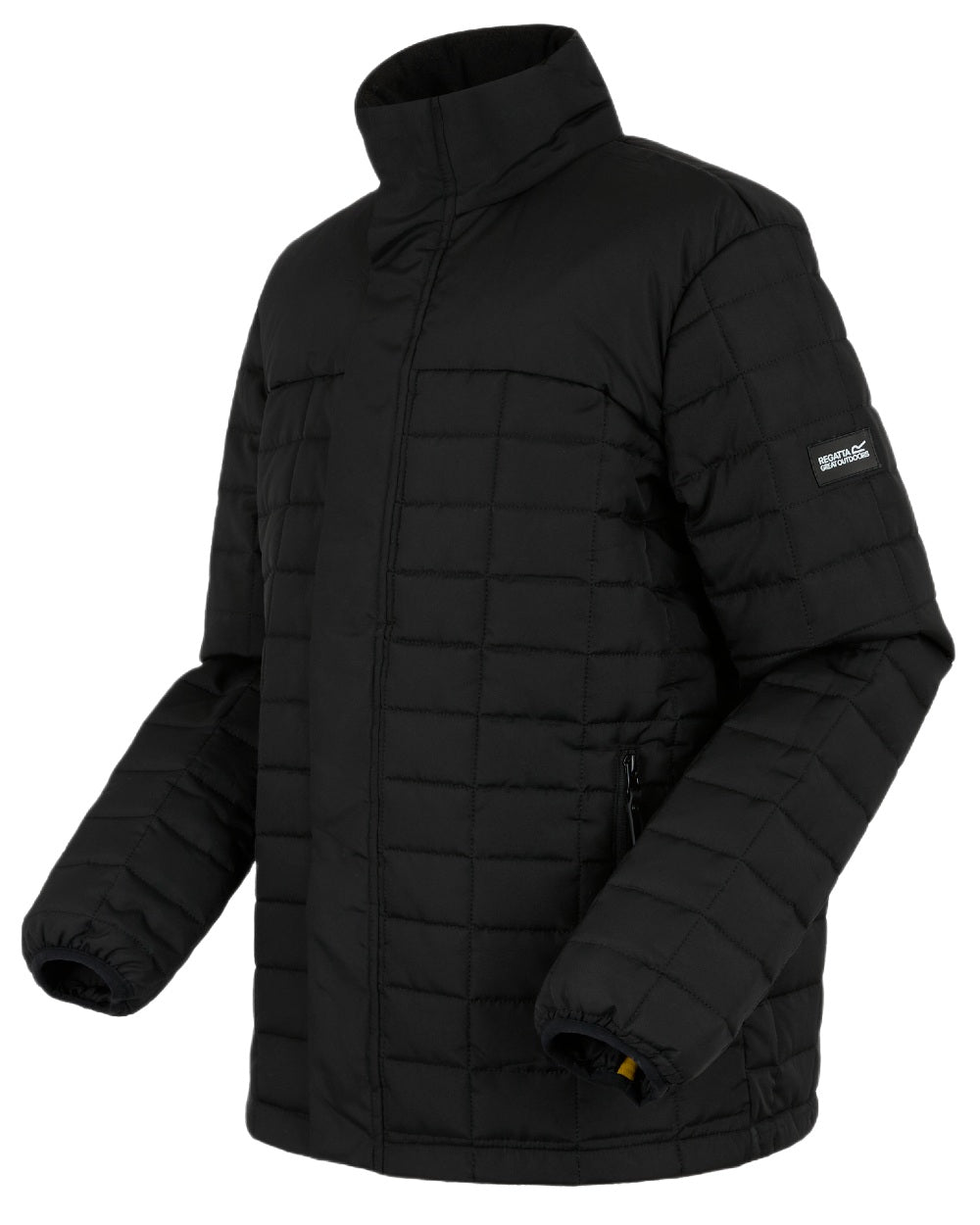 Black Coloured Regatta Mens Haire Padded Jacket on white background