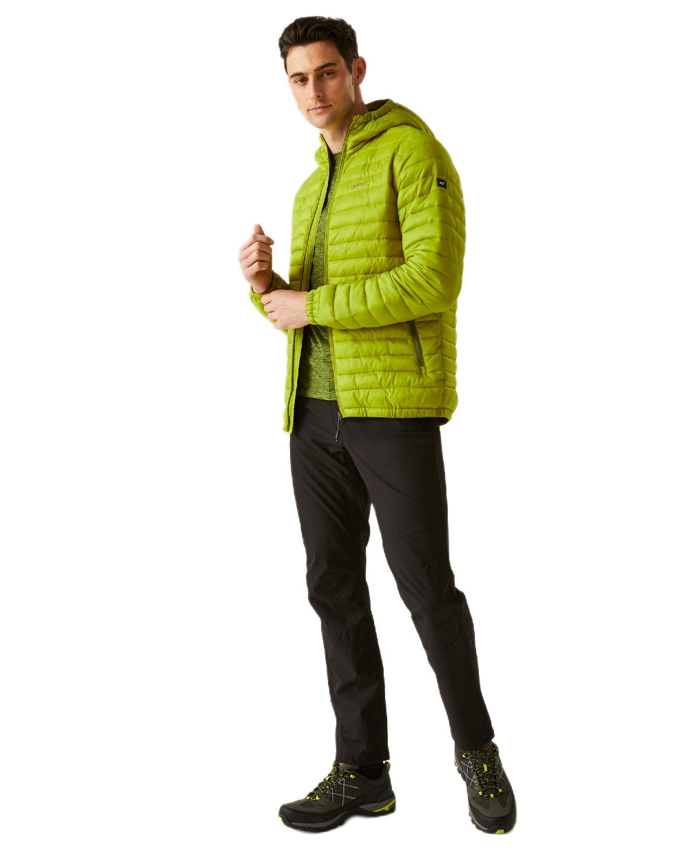 Grenoble Green Coloured Regatta Mens Hurden Padded Jacket on white background