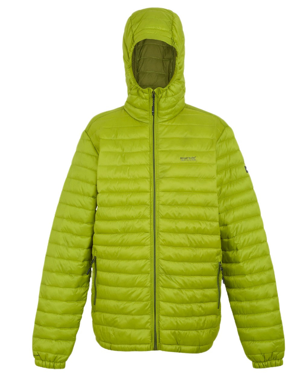 Grenoble Green Coloured Regatta Mens Hurden Padded Jacket on white background