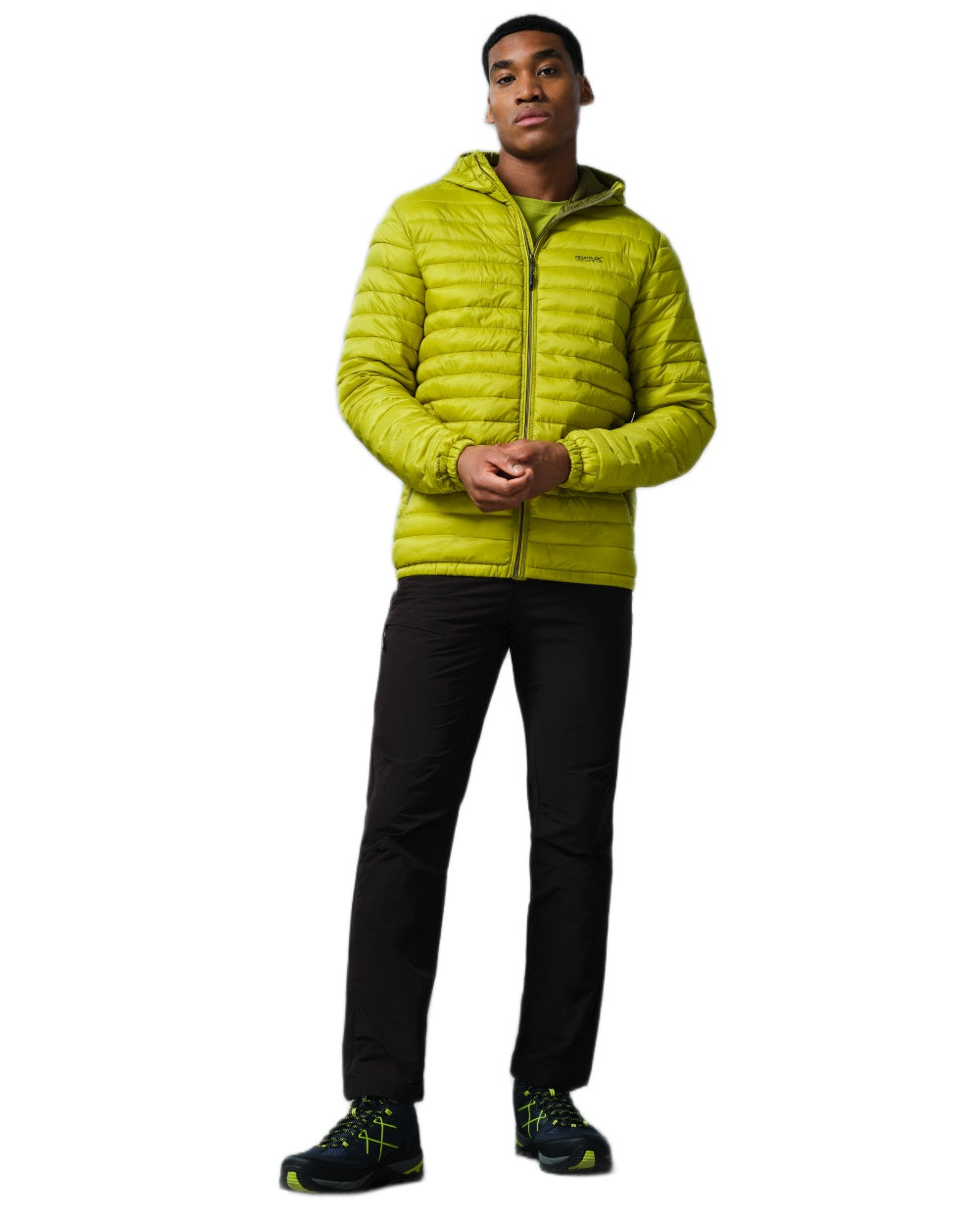 Grenoble Green Coloured Regatta Mens Hurden Padded Jacket on white background