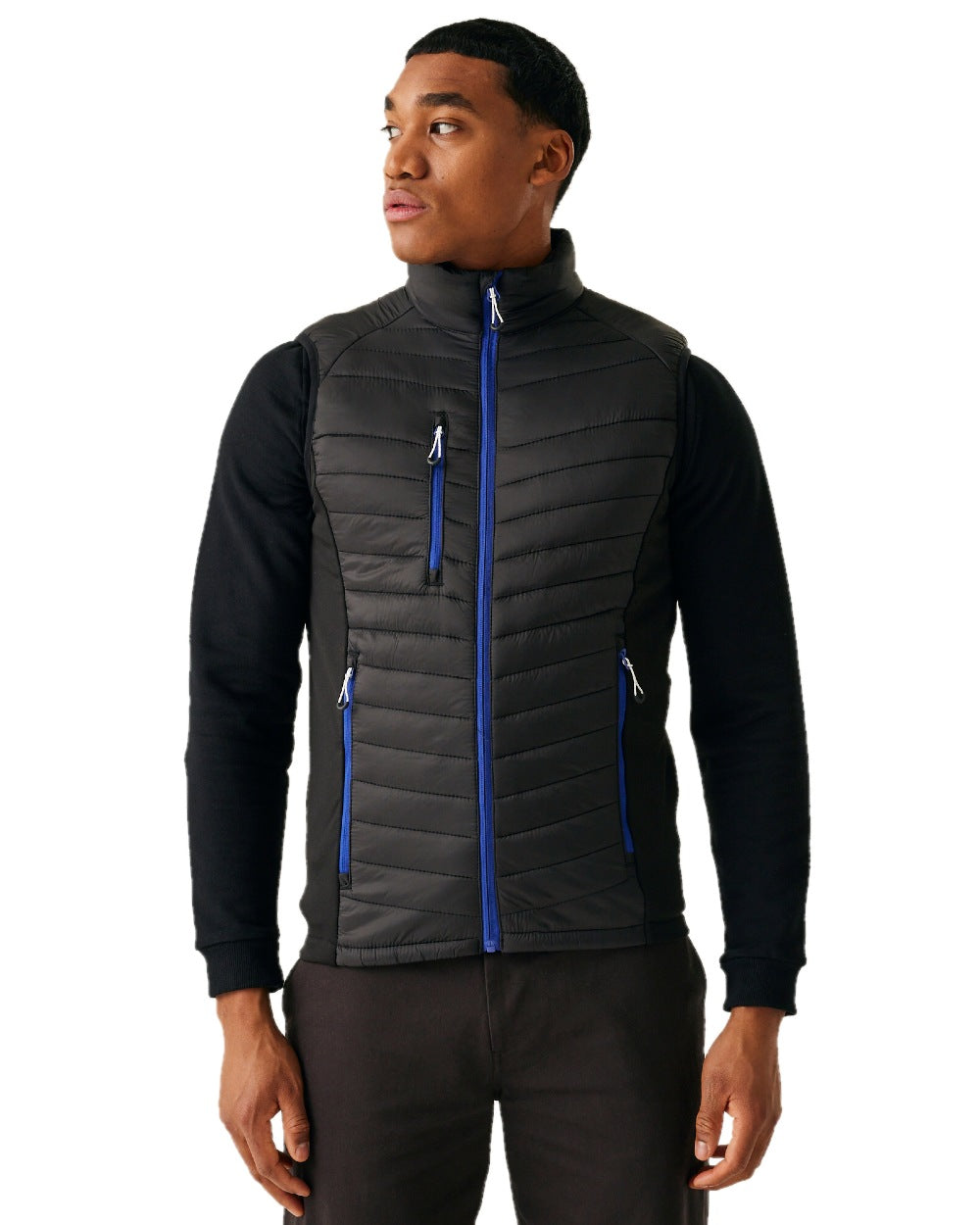 Black New Royal coloured Regatta Mens Navigate Hybrid Bodywarmer on white background