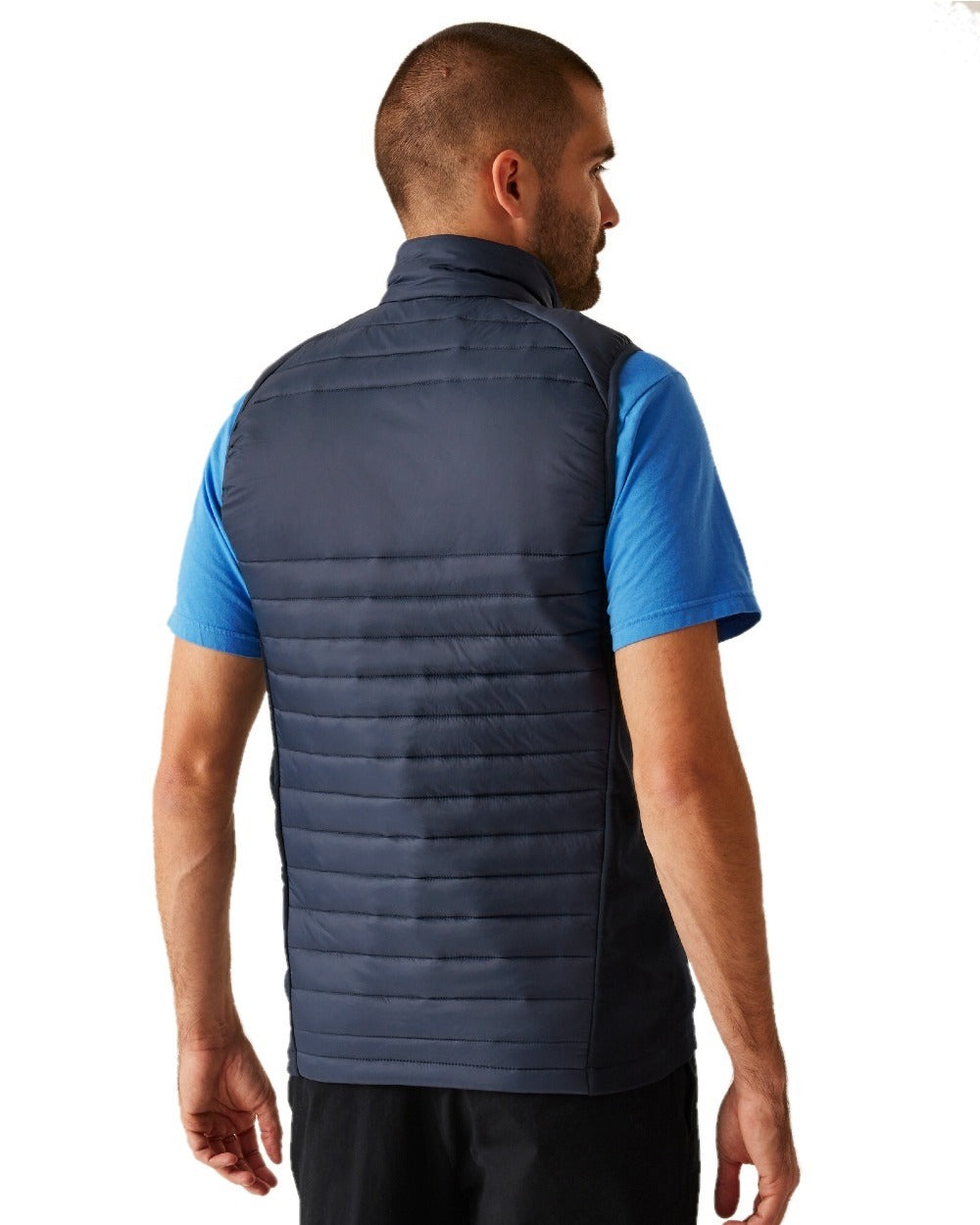 Navy French Blue coloured Regatta Mens Navigate Hybrid Bodywarmer on white background