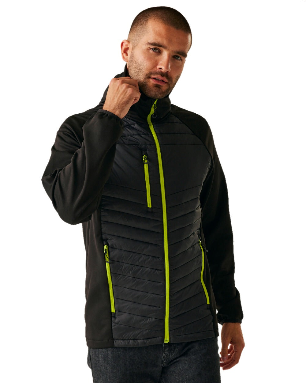 Black Lime Green coloured Regatta Mens Navigate Hybrid Jacket on white background