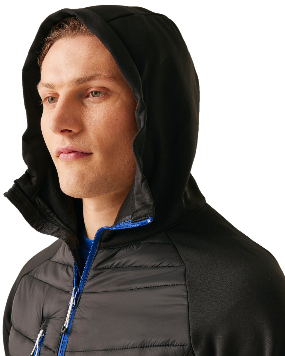 Black New Royal coloured Regatta Mens Navigate Hybrid Jacket on white background