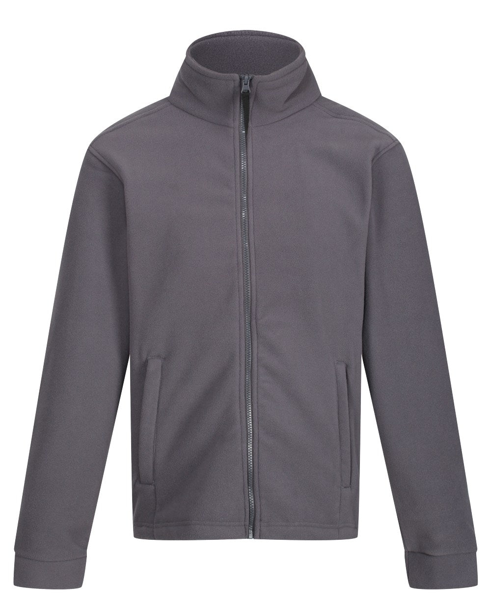 Seal Grey coloured Regatta Mens Thor 300 Full Zip Fleece on white background