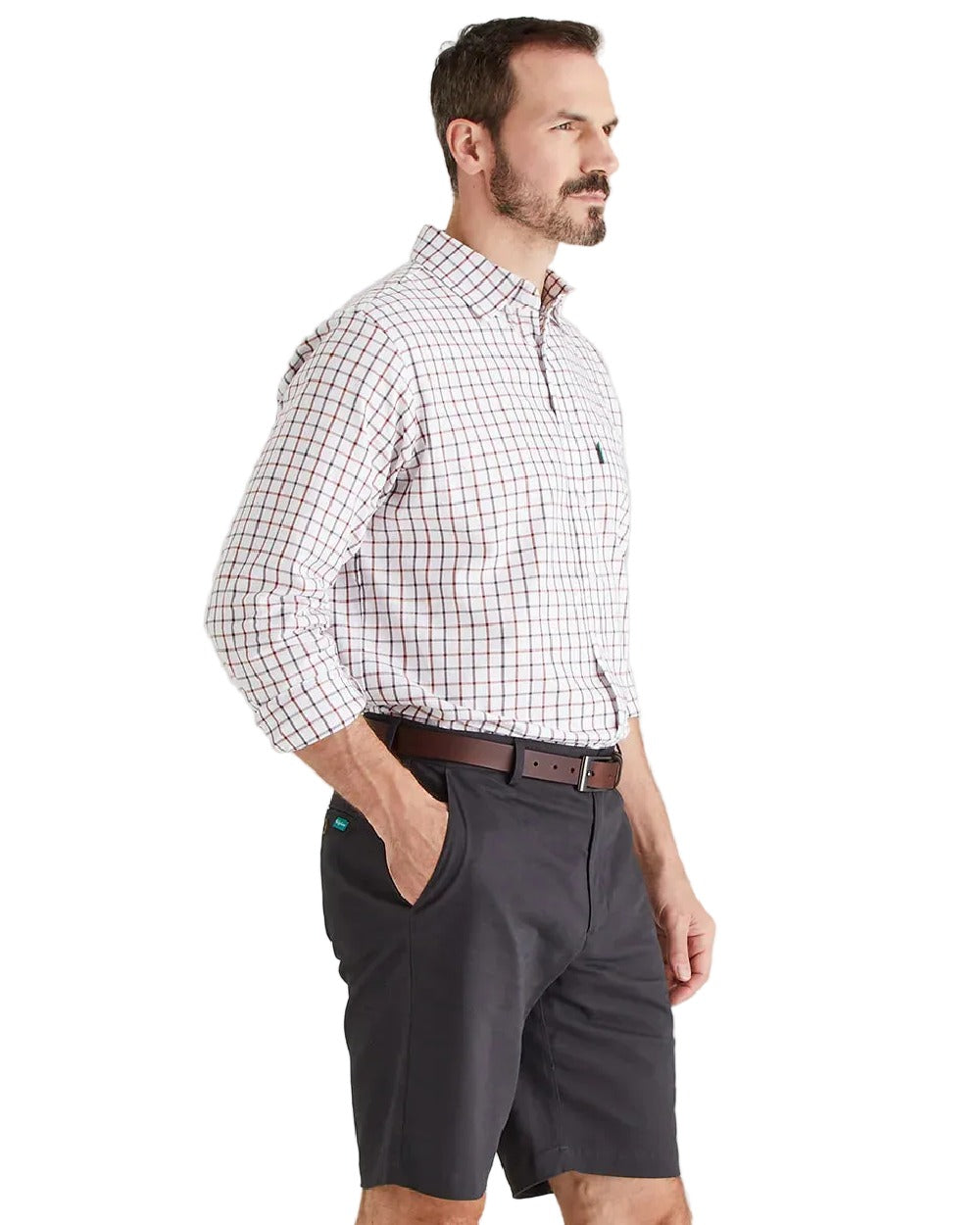 Shale Coloured Ridgeline Mens Waxham Shorts on white background