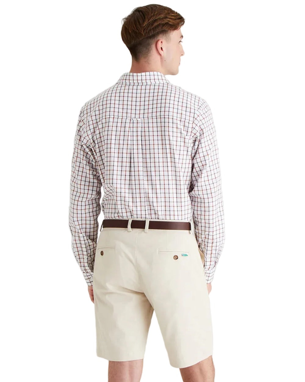 Stone Coloured Ridgeline Mens Waxham Shorts on white background