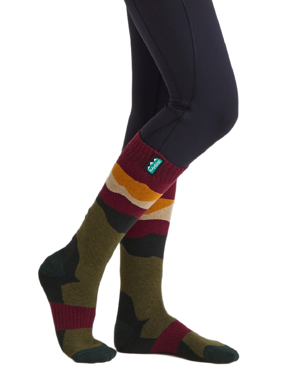 Berry Stripes Coloured Ridgeline Merino Wool Full Length Socks on white background