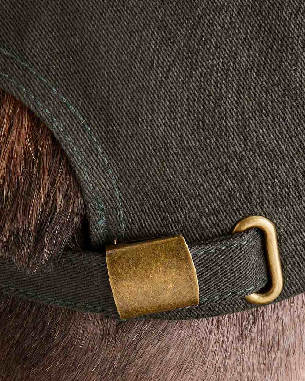 Deep Forest Coloured Ridgeline Signature Cap on white background