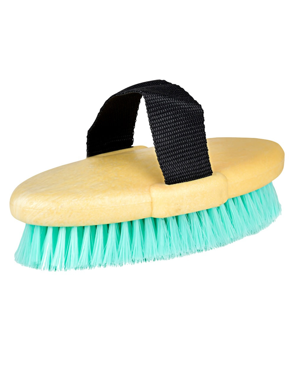 Turquoise coloured Roma Brights Body Brush on white background