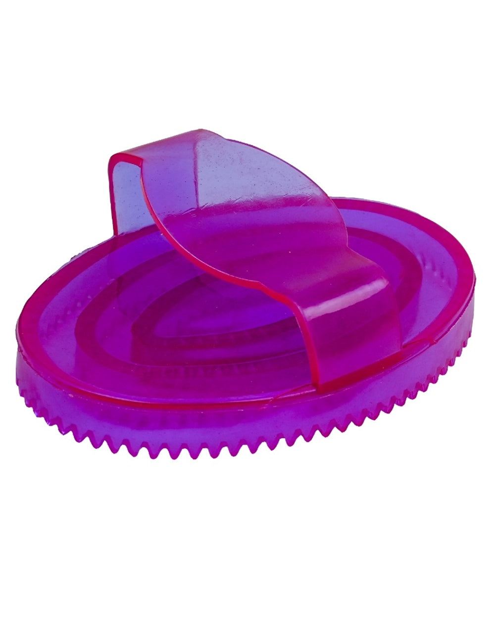 Deep Purple coloured Roma Brights Curry Comb on white background