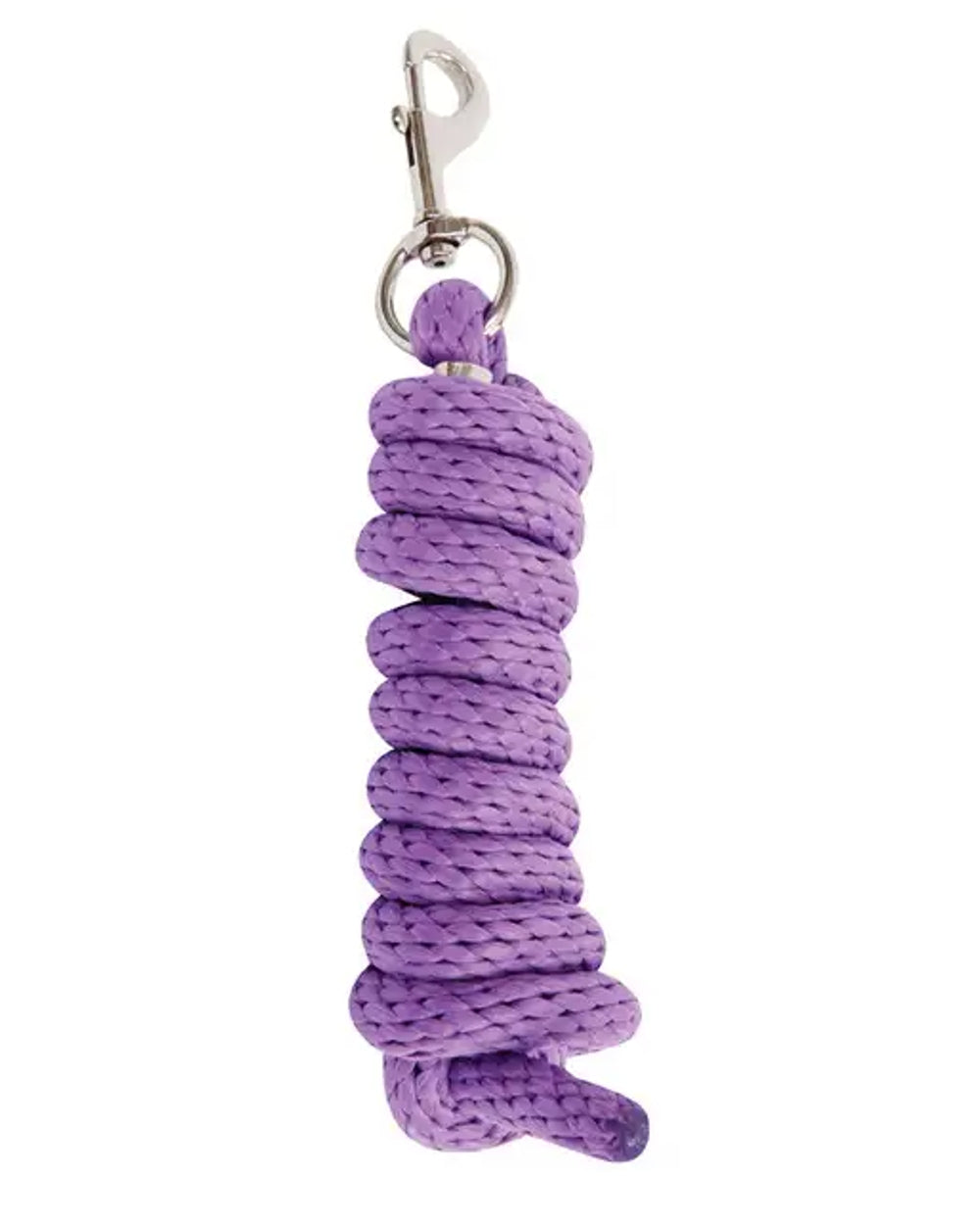 Purple coloured Roma Continental Lead on white background