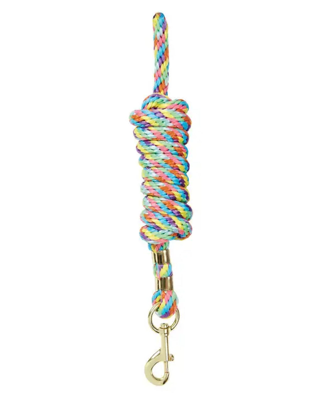 Rainbow coloured Roma Continental Lead on white background