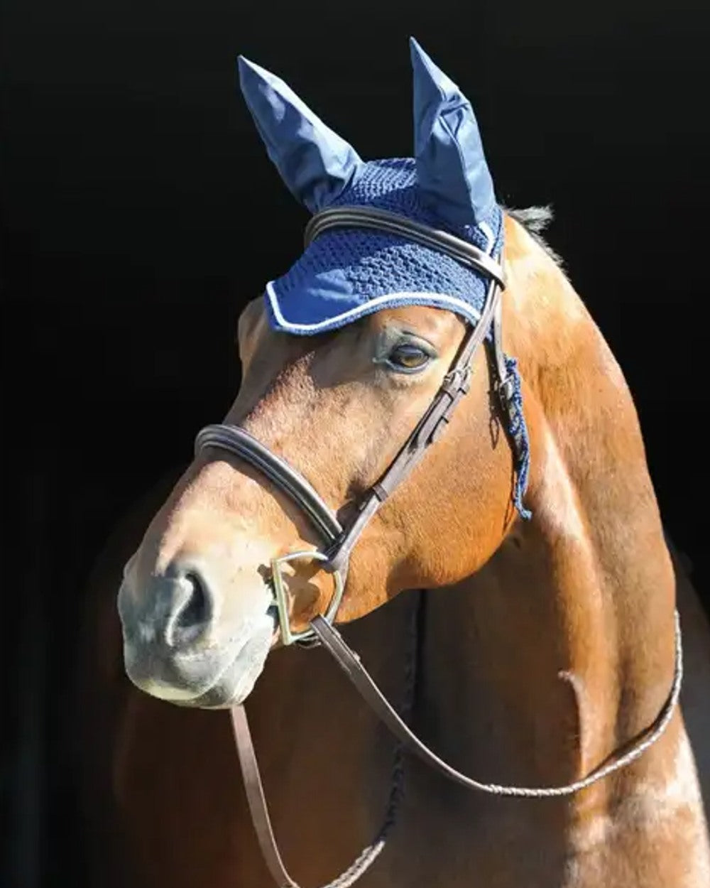 Navy White coloured Roma Crochet Ear Cover on blurry background