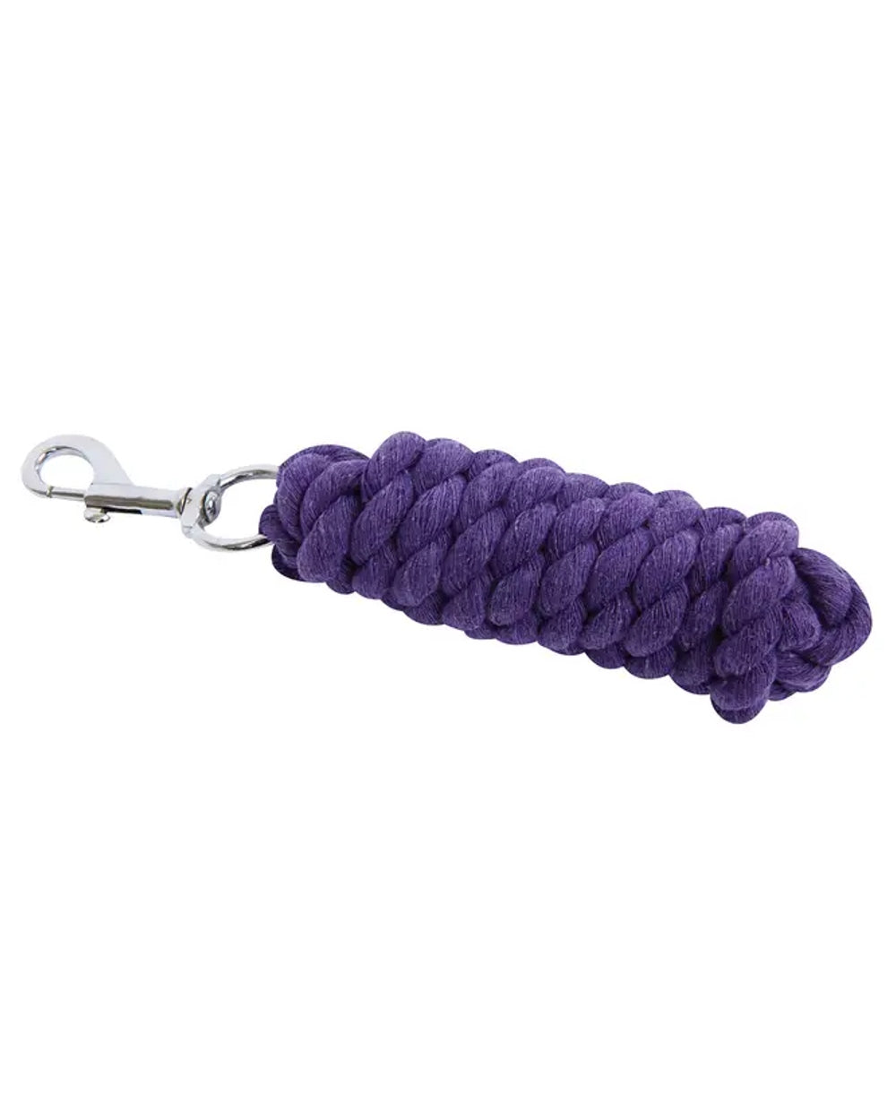 Purple coloured Roma Lead on white background