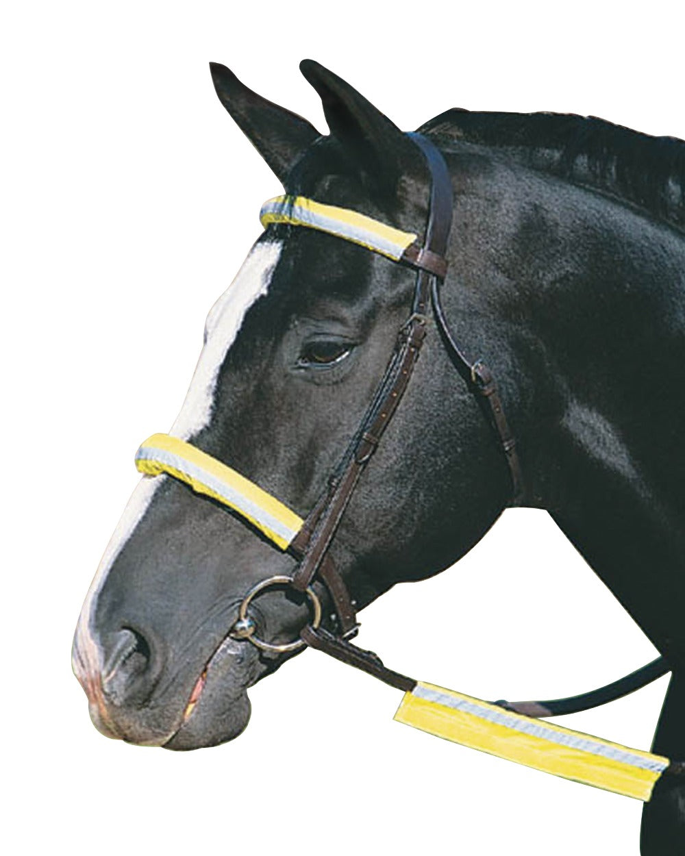 Yellow coloured Roma Reflective Bridle Kit on white background