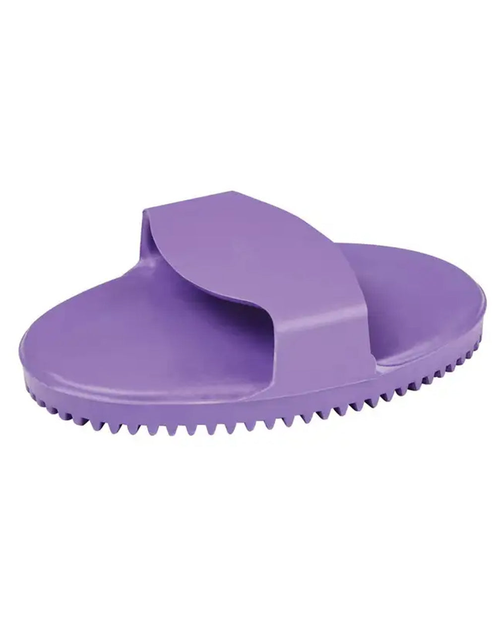 Purple coloured Roma Rubber Curry Comb on white background