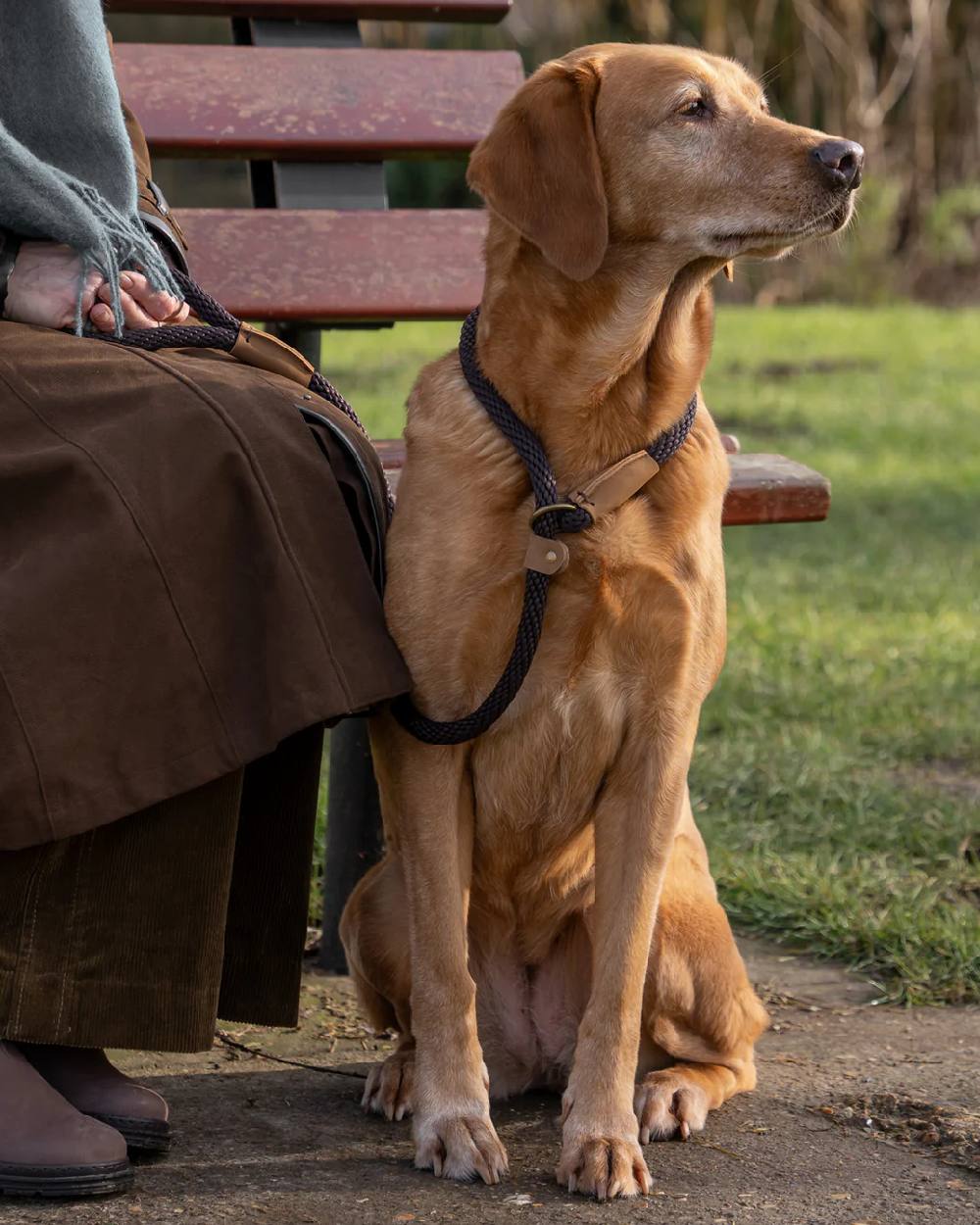 Mud Coloured Ruff & Tumble Slip Dog Leads on outdoor background