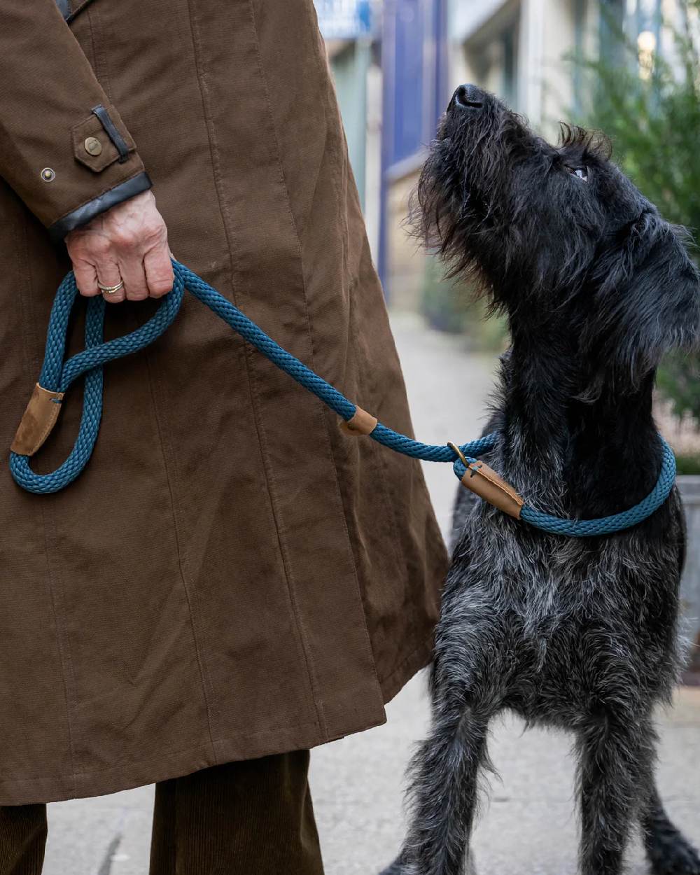 Sandringham Blue Coloured Ruff & Tumble Slip Dog Leads on outdoor background