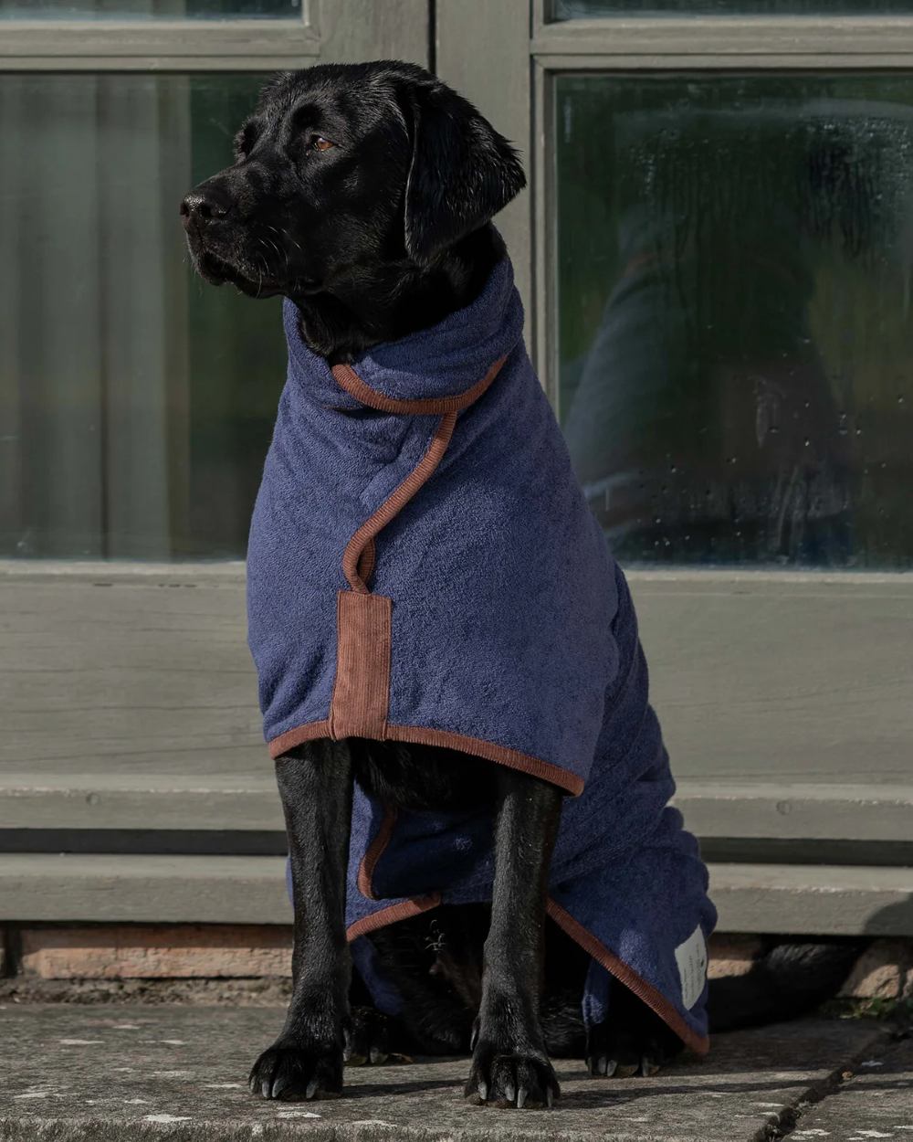 French Navy coloured Ruff & Tumble Country Dog Drying Coat on black dog sat outside