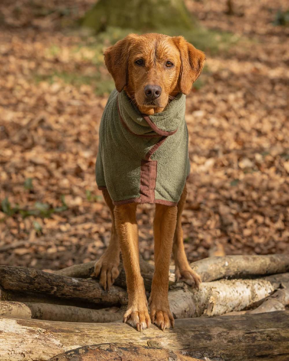 Moss coloured Ruff &amp; Tumble Country Dog Drying Coat on ginger dog outside 