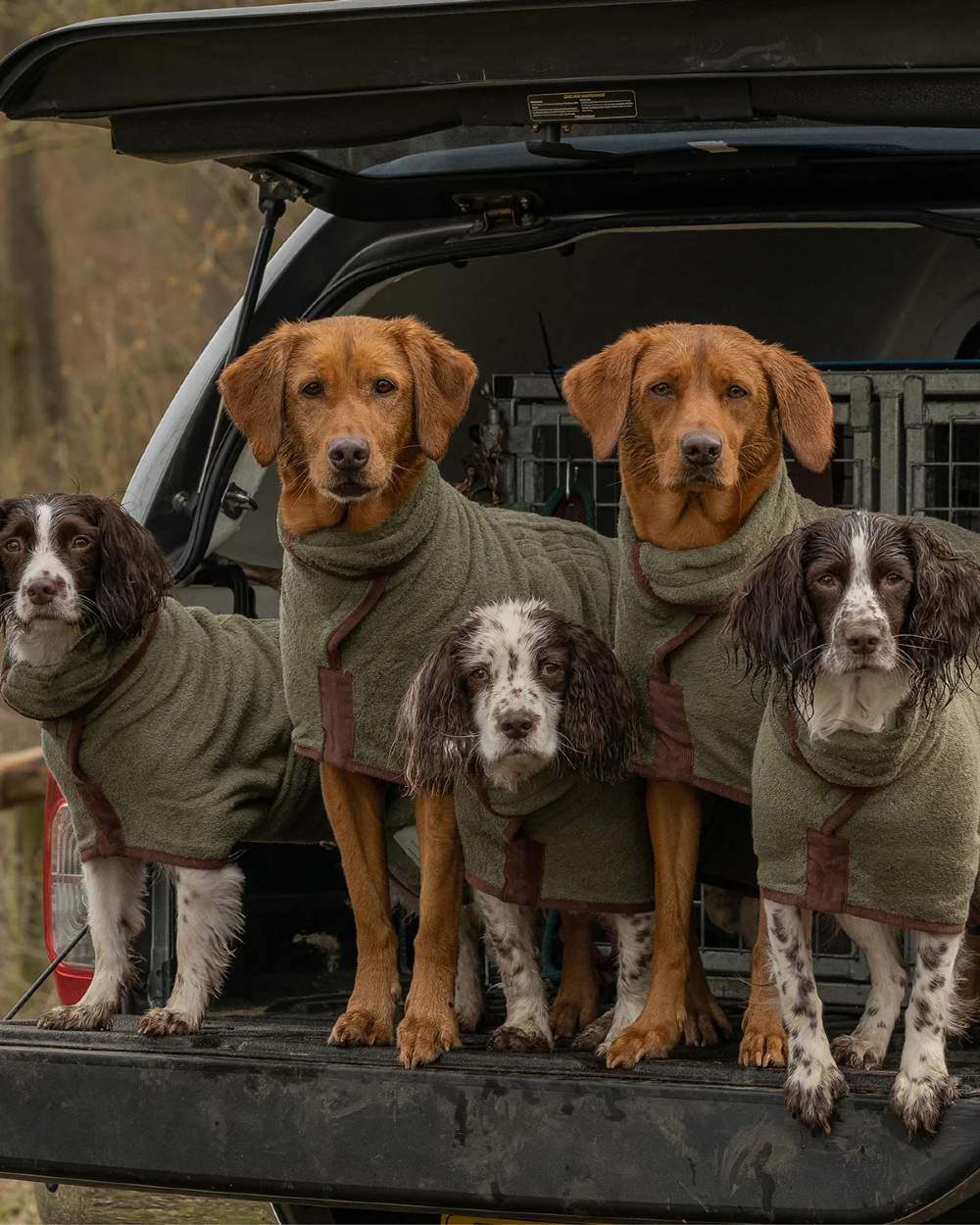 Moss coloured Ruff &amp; Tumble Country Dog Drying Coat on group of dogs in car boot 