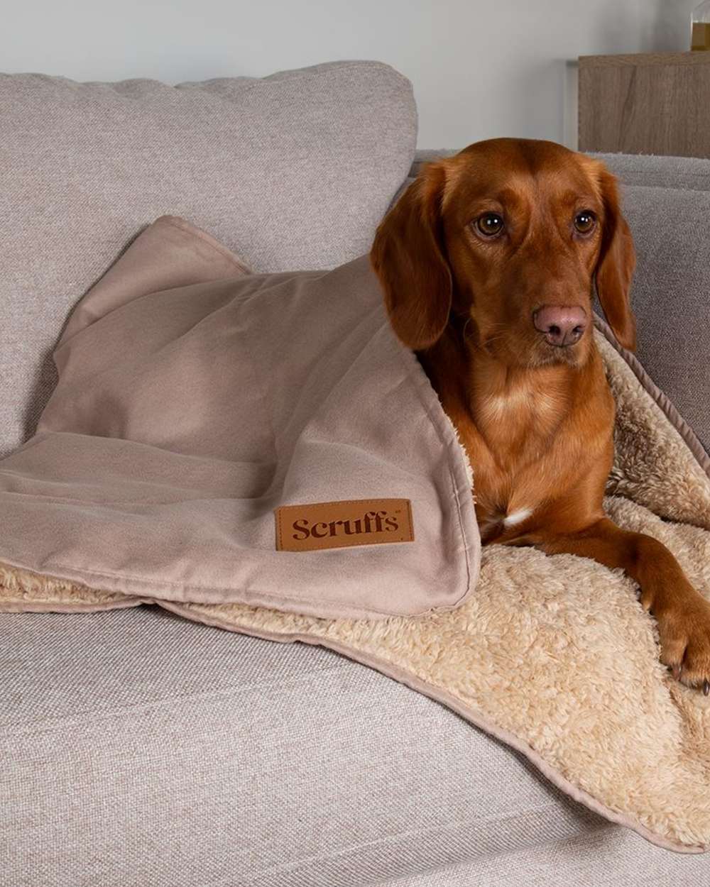 Desert Sand coloured Scruffs Snuggle Blanket on house background