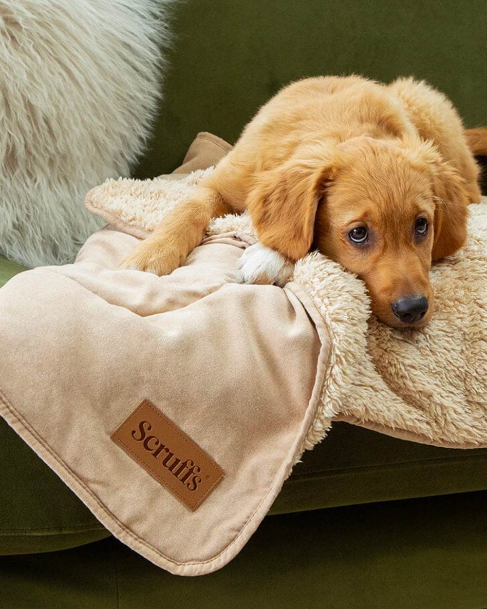 Desert Sand coloured Scruffs Snuggle Blanket on house background