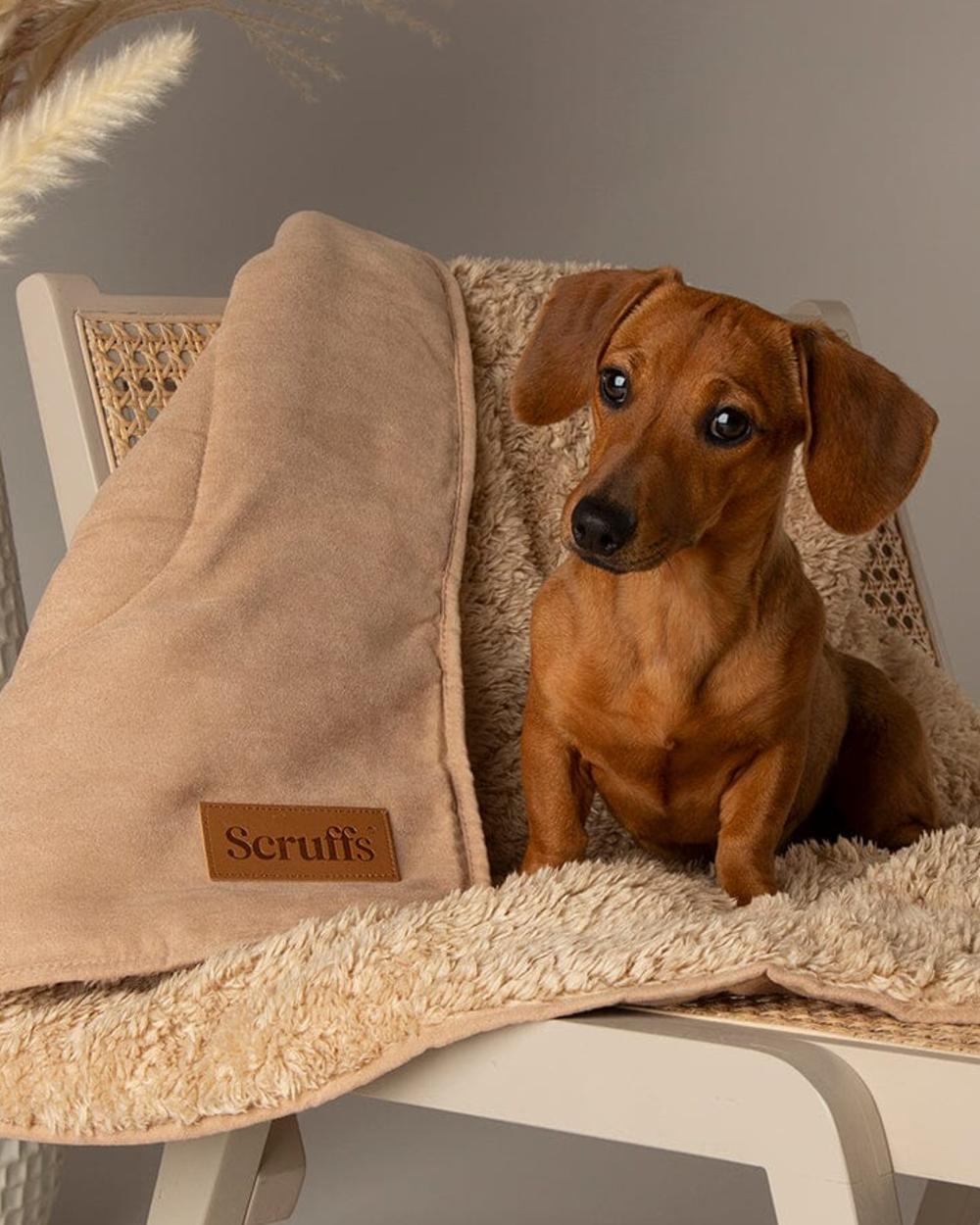 Desert Sand coloured Scruffs Snuggle Blanket on house background